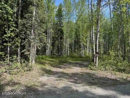 Mi 44.5 Mccarthy Road Property Photo 53