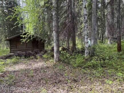 Mi 44.5 Mccarthy Road Property Photo 56
