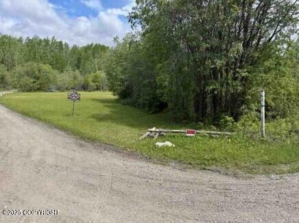 Mi 44.5 Mccarthy Road Property Photo 64