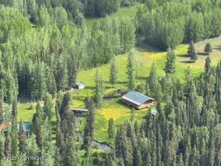 Mi 44.5 Mccarthy Road Property Photo 65