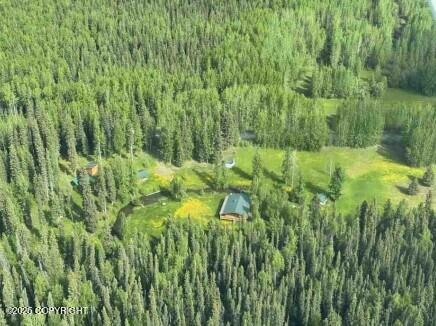 Mi 44.5 Mccarthy Road Property Photo 66