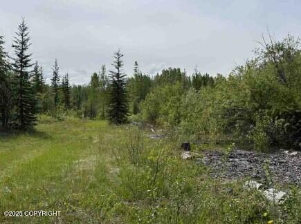 Mi 44.5 Mccarthy Road Property Photo 73
