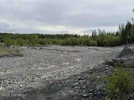 Mi 44.5 Mccarthy Road Property Photo 74