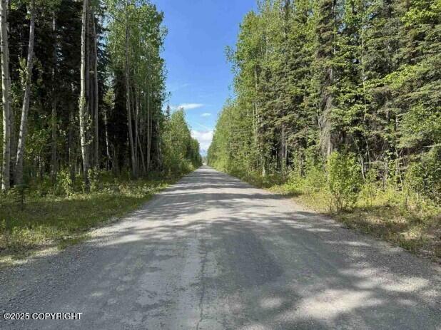 Mi 44.5 Mccarthy Road Property Photo 76
