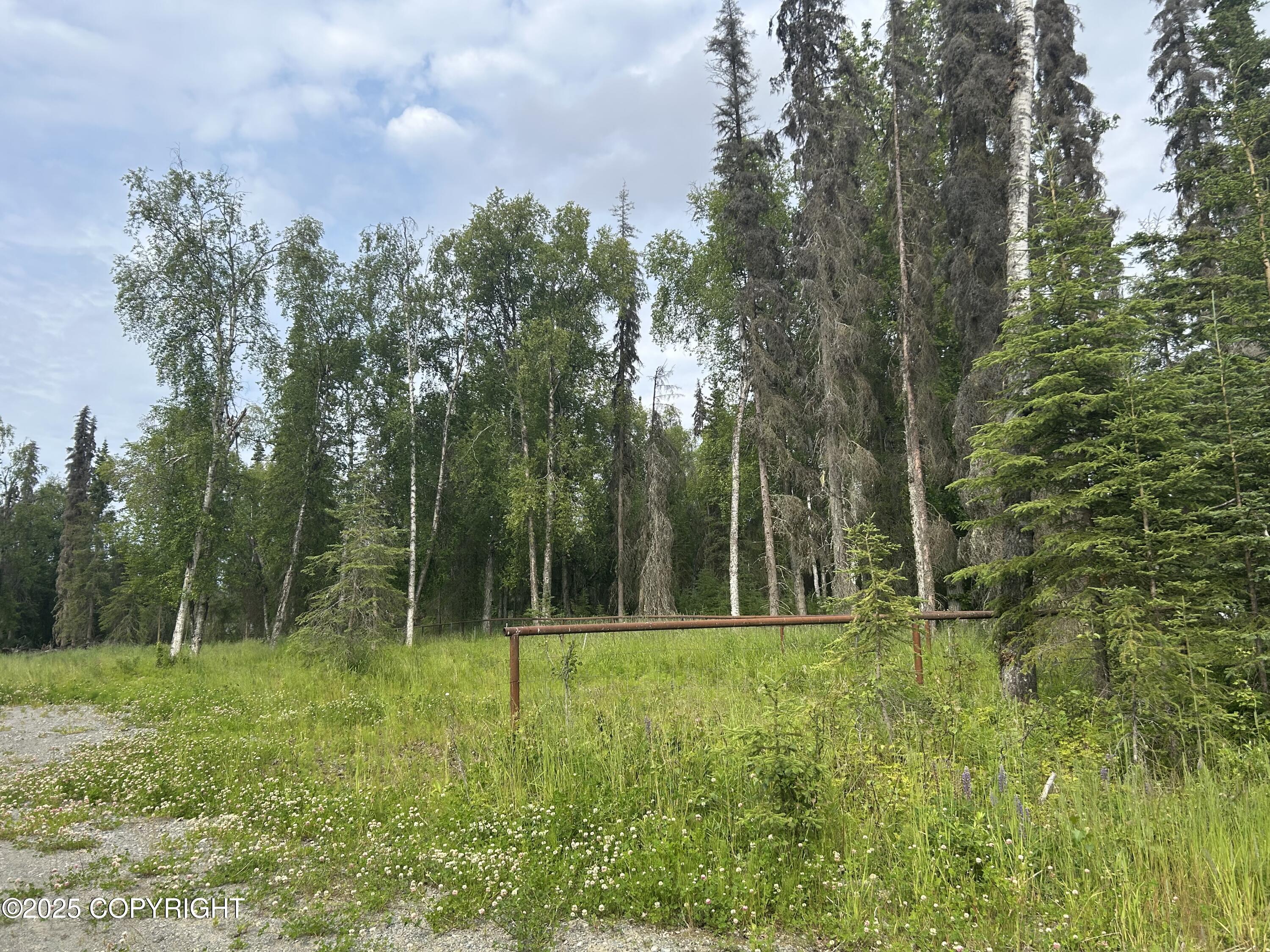 44570 Lumberjack Lane Property Photo 3