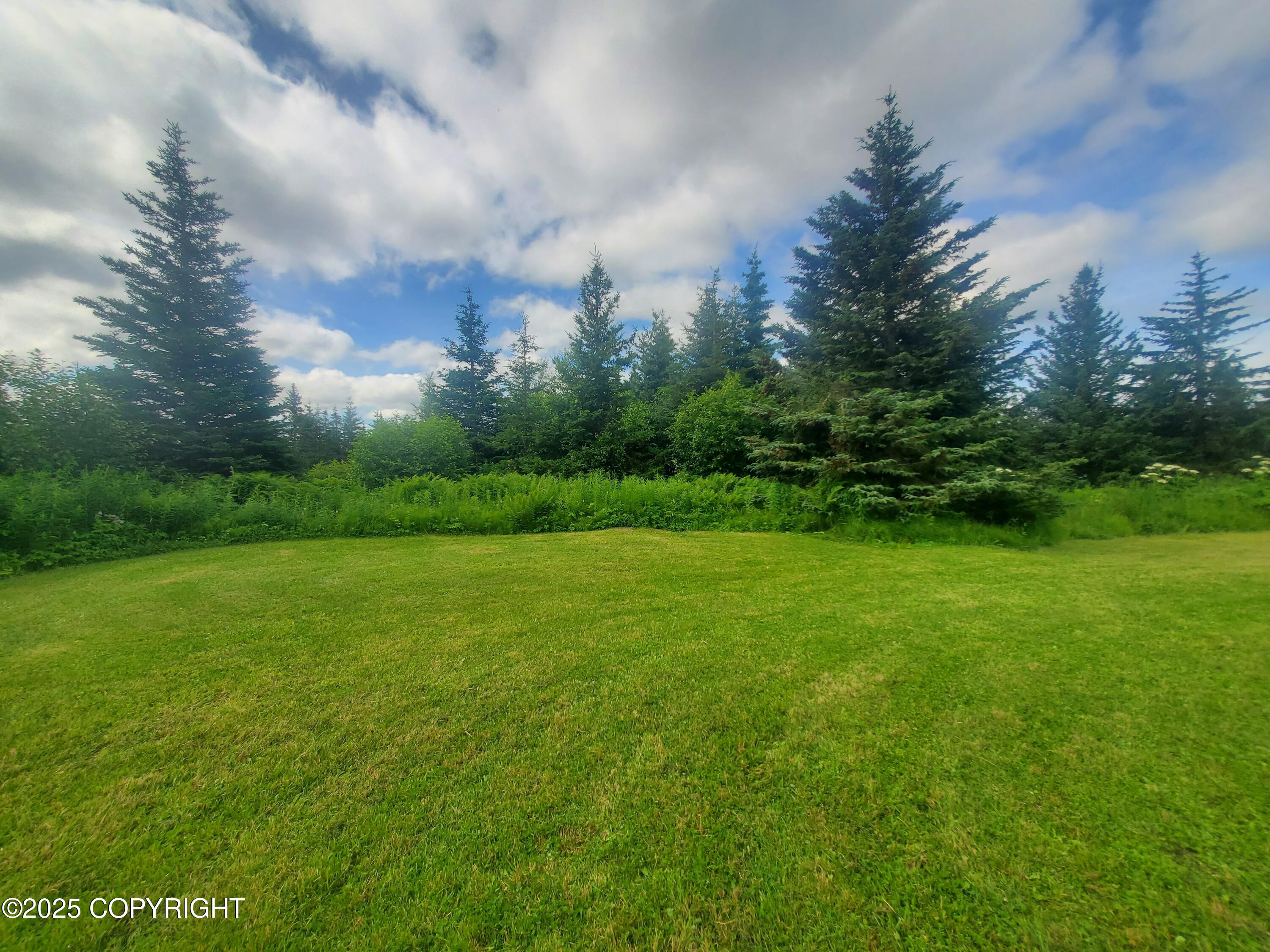 64111 Nikolaevsk Road Property Photo 4
