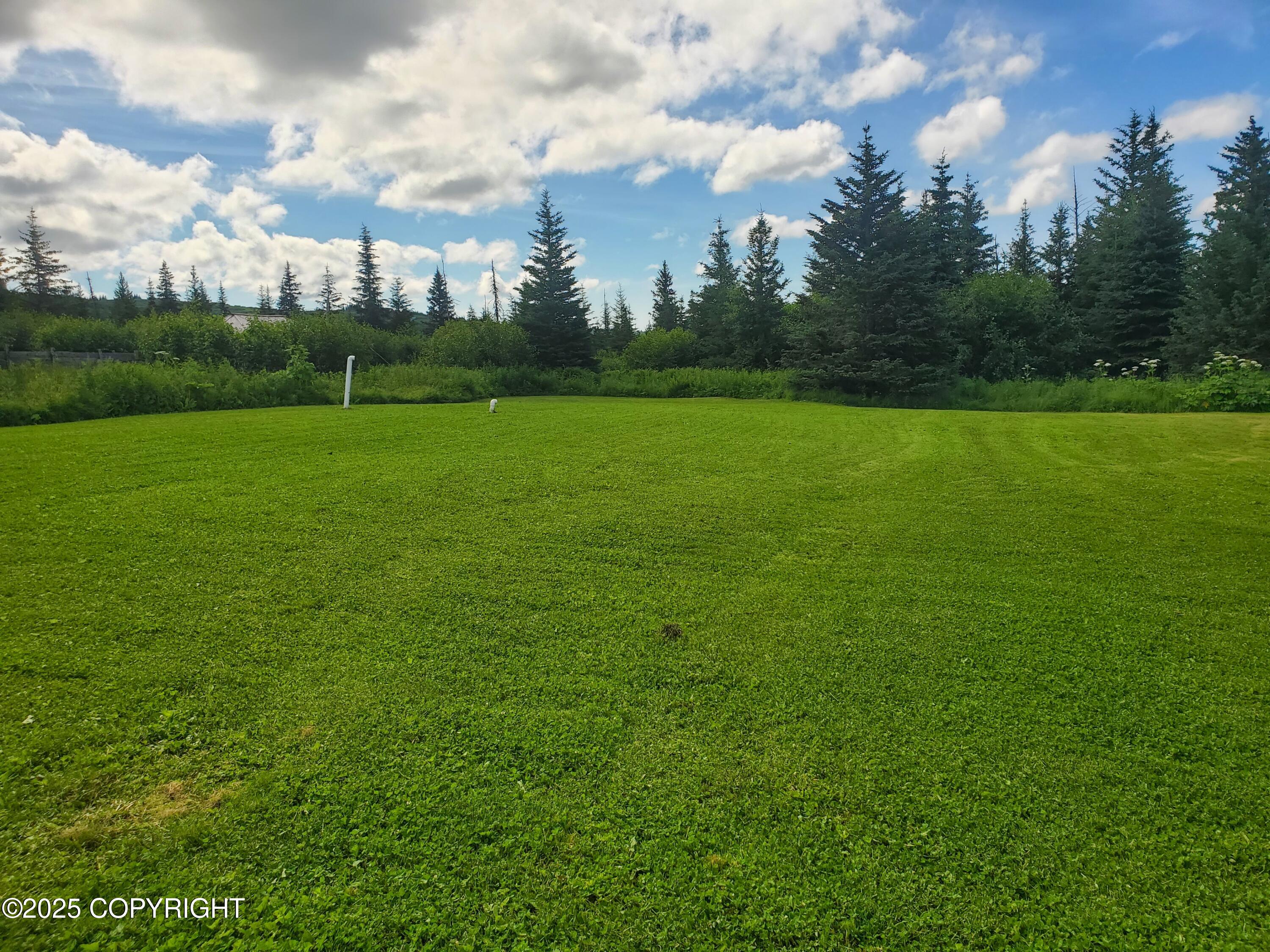 64111 Nikolaevsk Road Property Photo 25