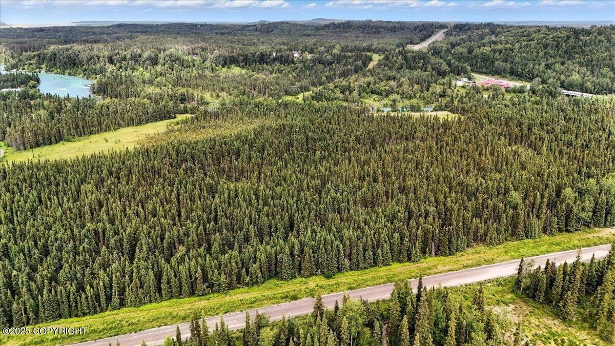 L1 Kasilof River Road Property Photo 4