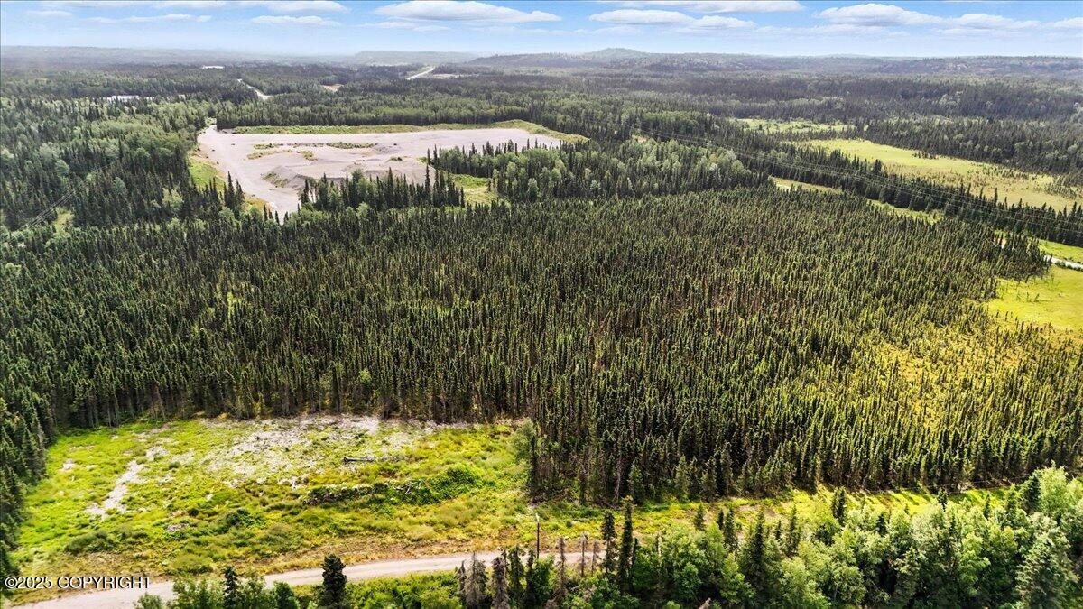 L1 Kasilof River Road Property Photo 5