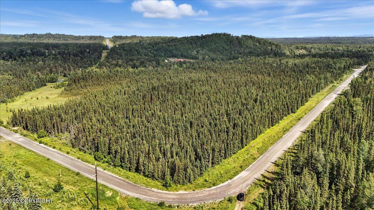 L1 Kasilof River Road Property Photo 14