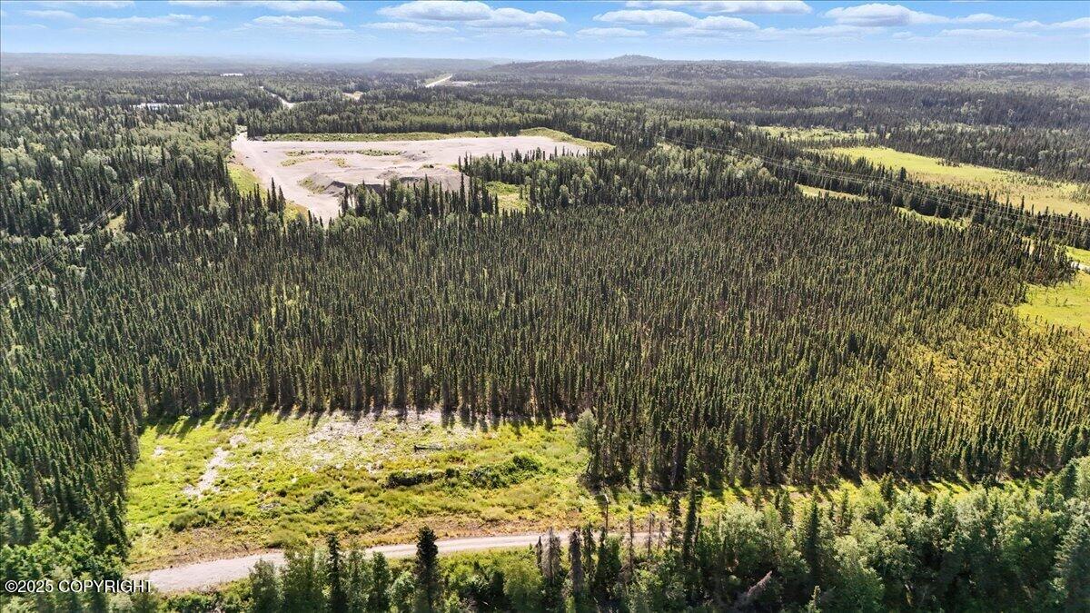 L3 Kasilof River Road Property Photo 13