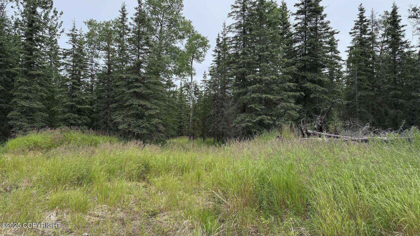 45472 Lentfer Avenue Property Photo 17