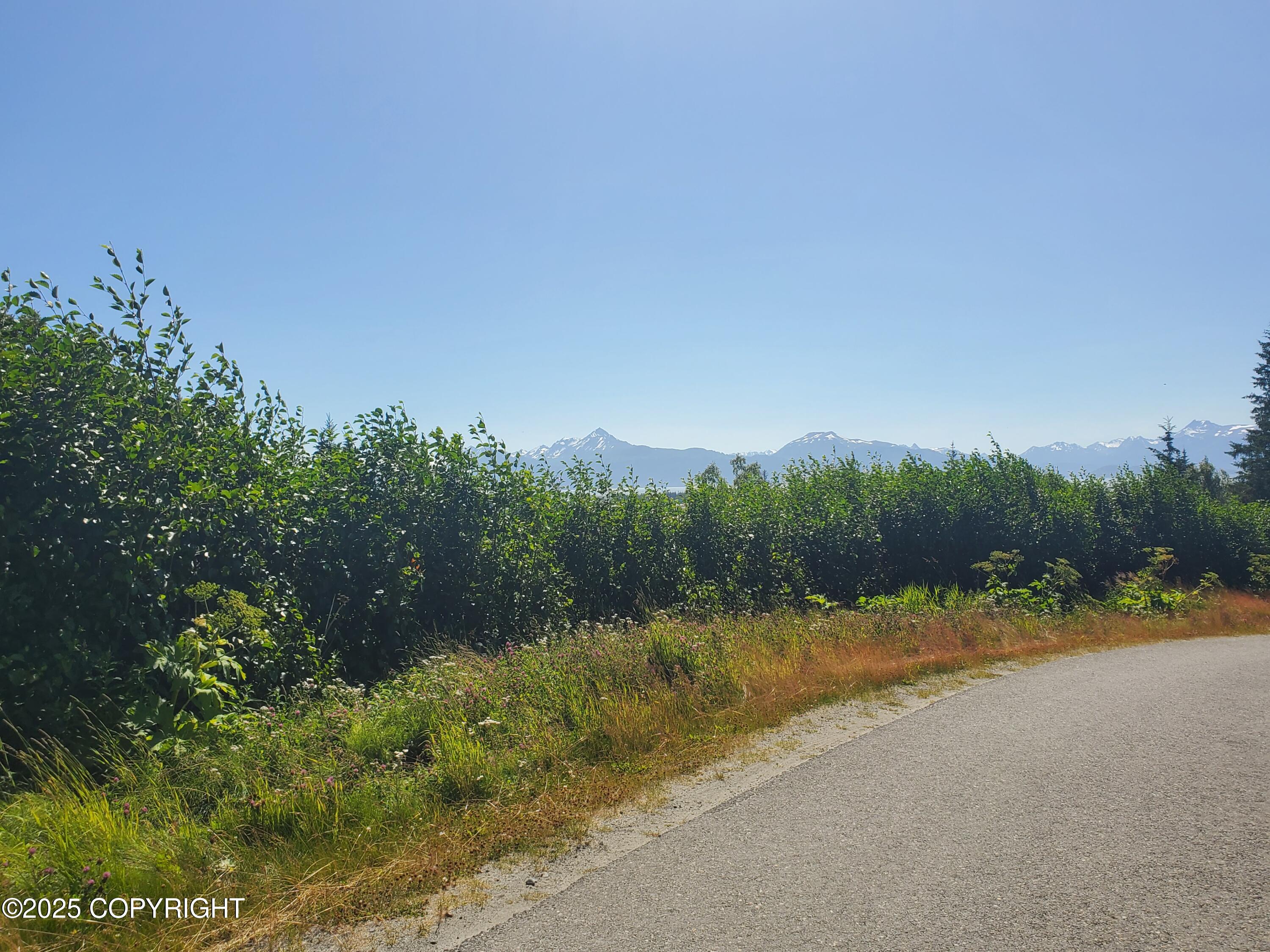 4550 Craftsman Road Property Photo 6