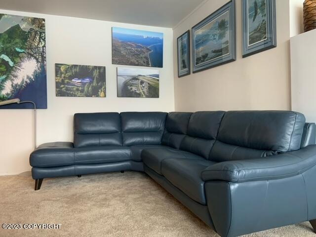 100 Kenai Street #808 Property Photo 9
