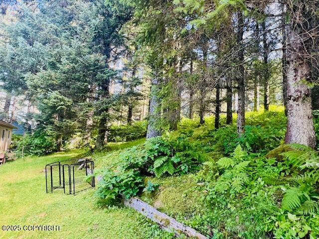 1716 Selief Lane Property Photo 18