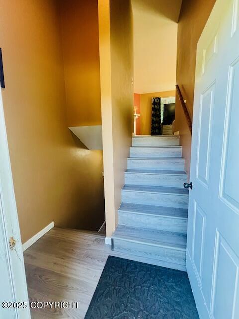 1716 Selief Lane Property Photo 21