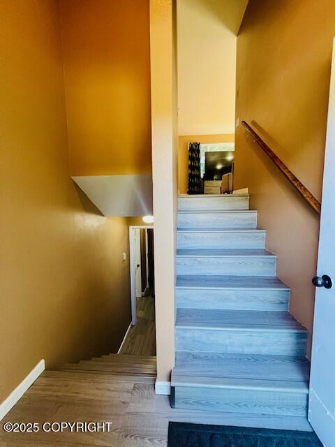 1716 Selief Lane Property Photo 22