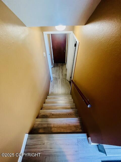 1716 Selief Lane Property Photo 55
