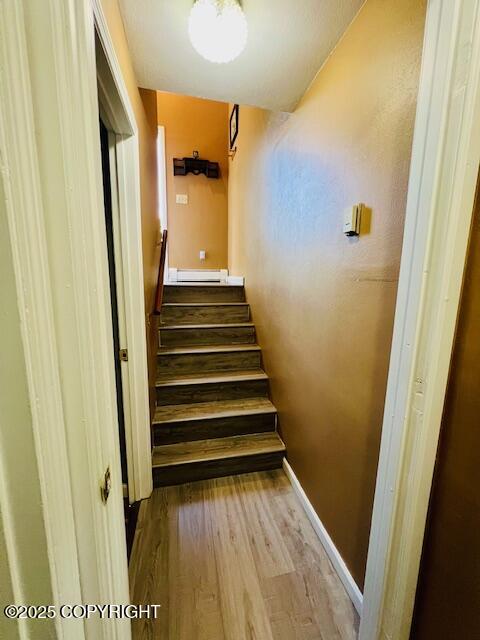 1716 Selief Lane Property Photo 56
