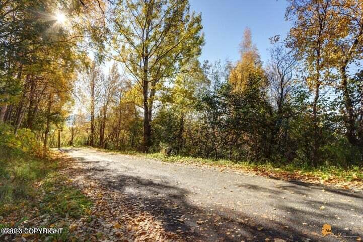 L9 & L10 Feodosia Drive Property Photo 15