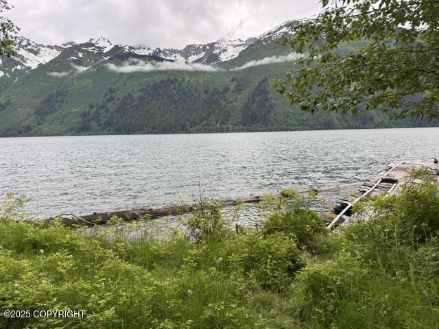Uss 3625 Lot 5 Portion Chilkat Lake Property Photo 6