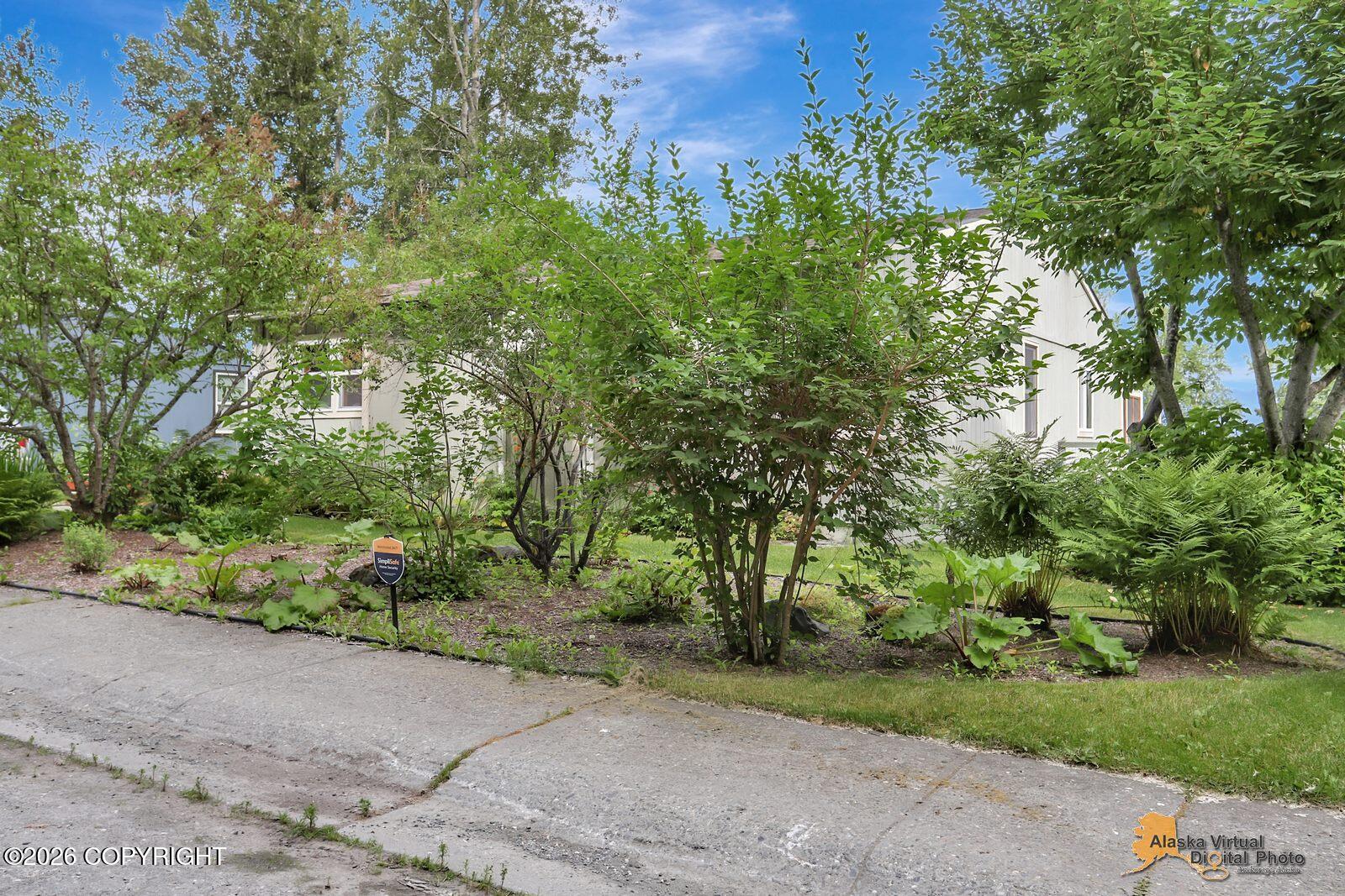 10833 E Twin Peaks Court Property Photo 5