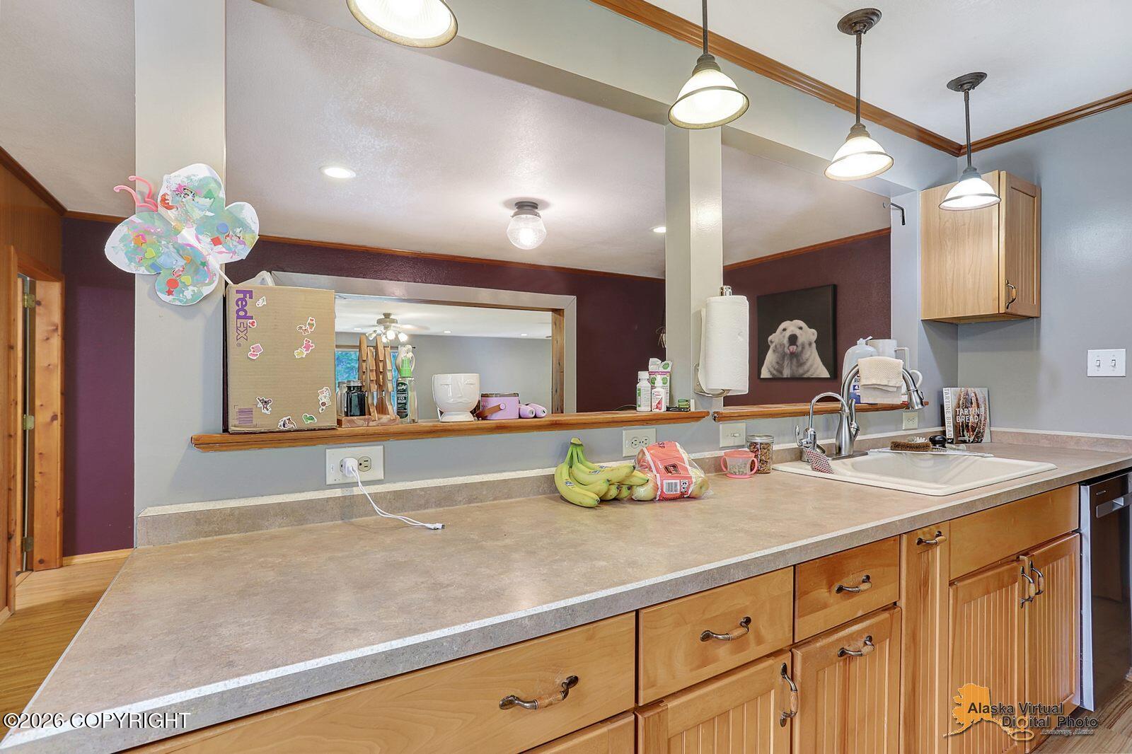 10833 E Twin Peaks Court Property Photo 9