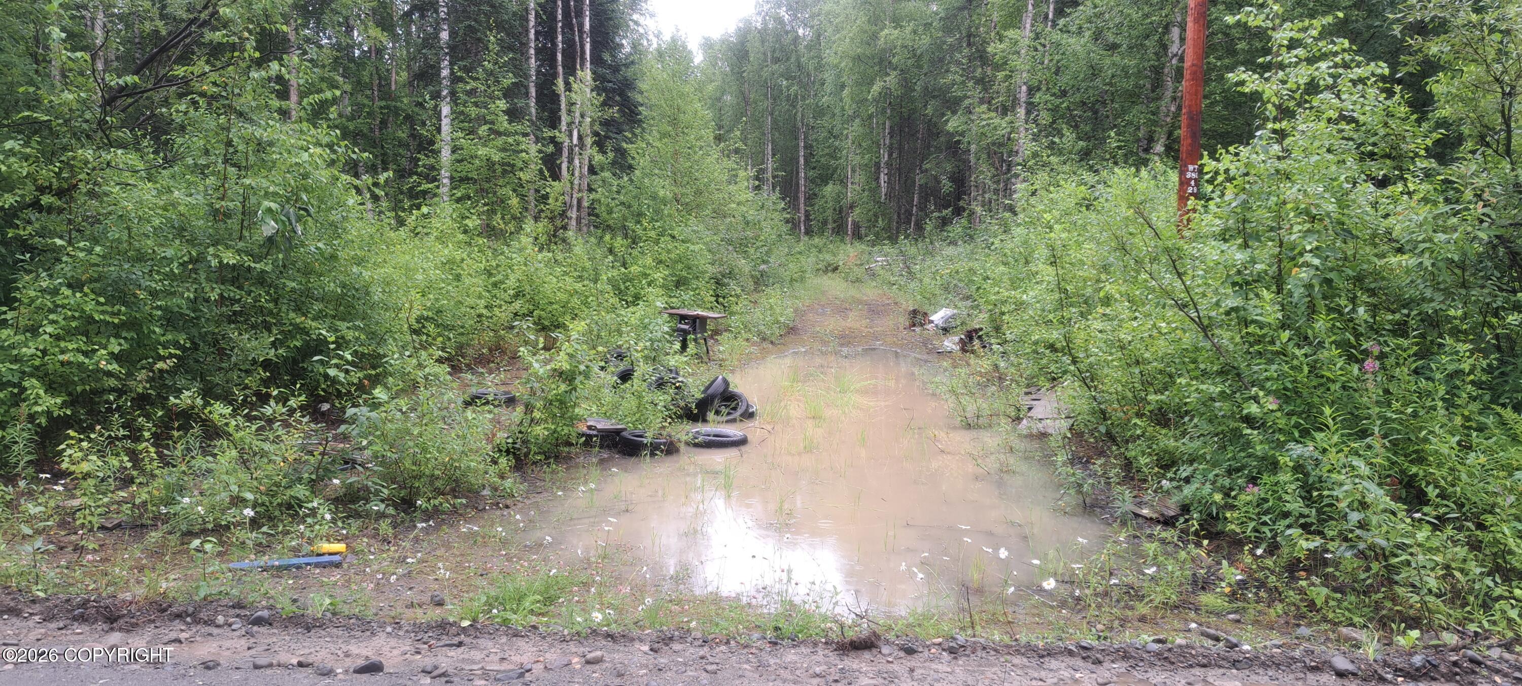 32687 S Mt Hunter Property Photo 2