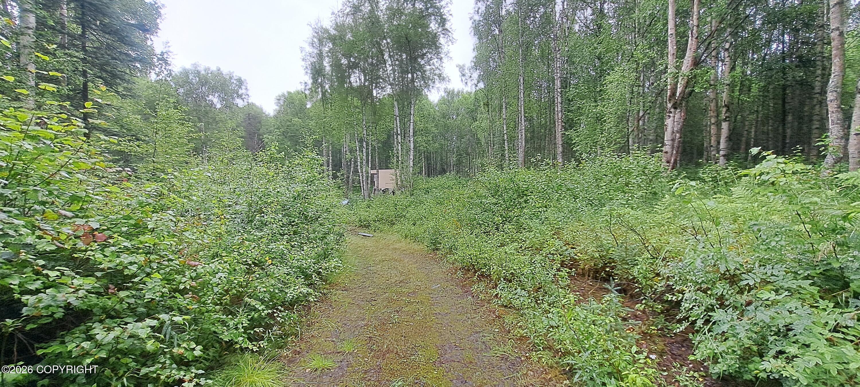 32687 S Mt Hunter Property Photo 5