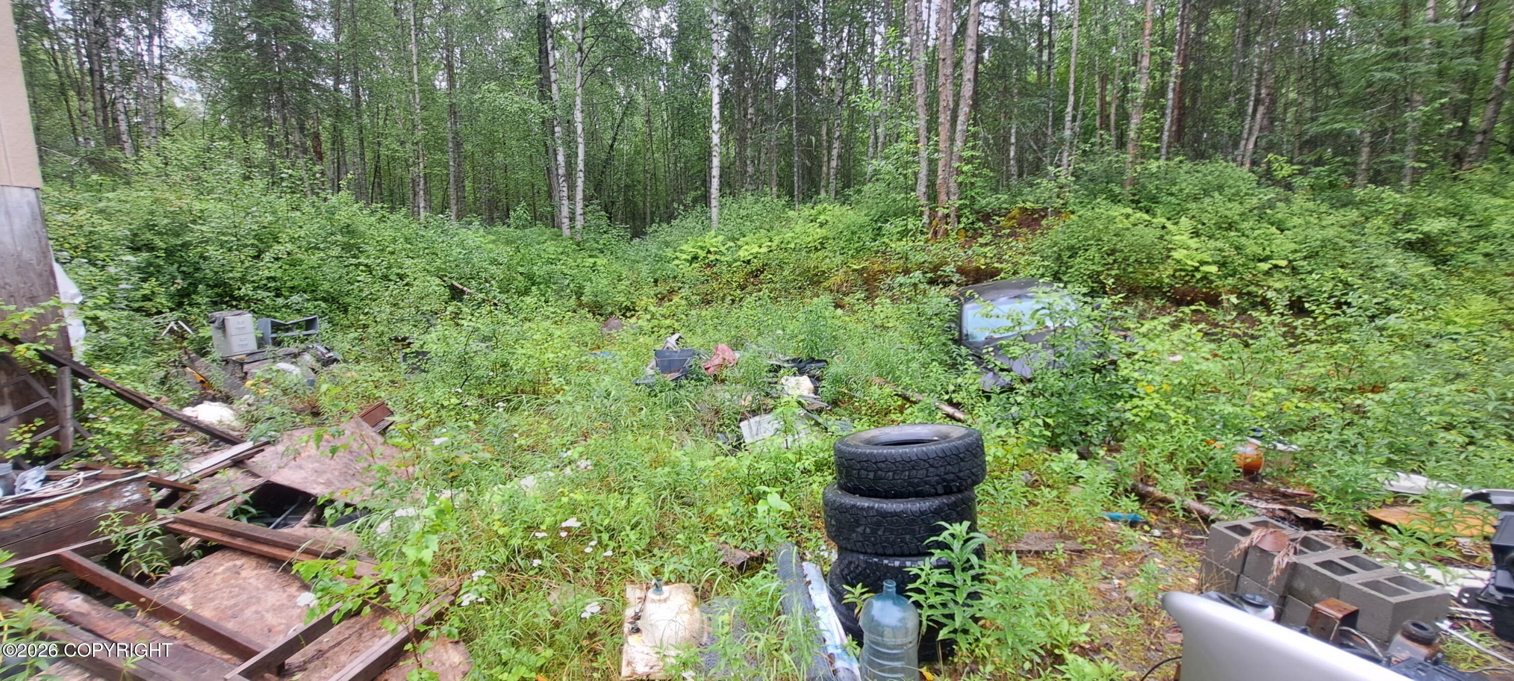 32687 S Mt Hunter Property Photo 8