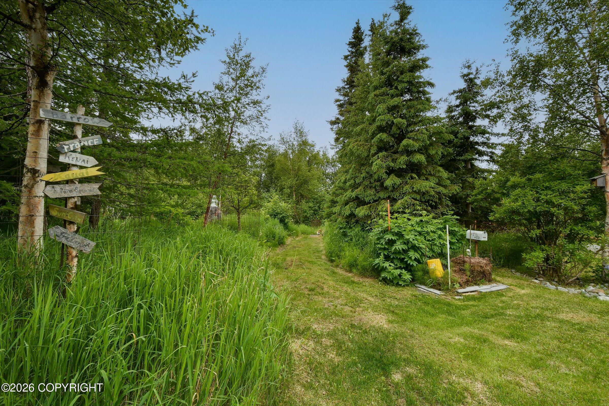 12201 Graiff Street Property Photo 43