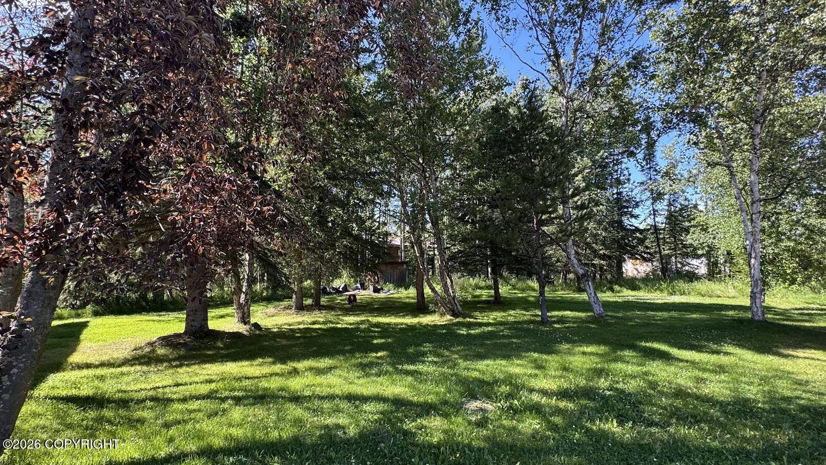 34390 Scout Lake Loop Road Property Photo 4
