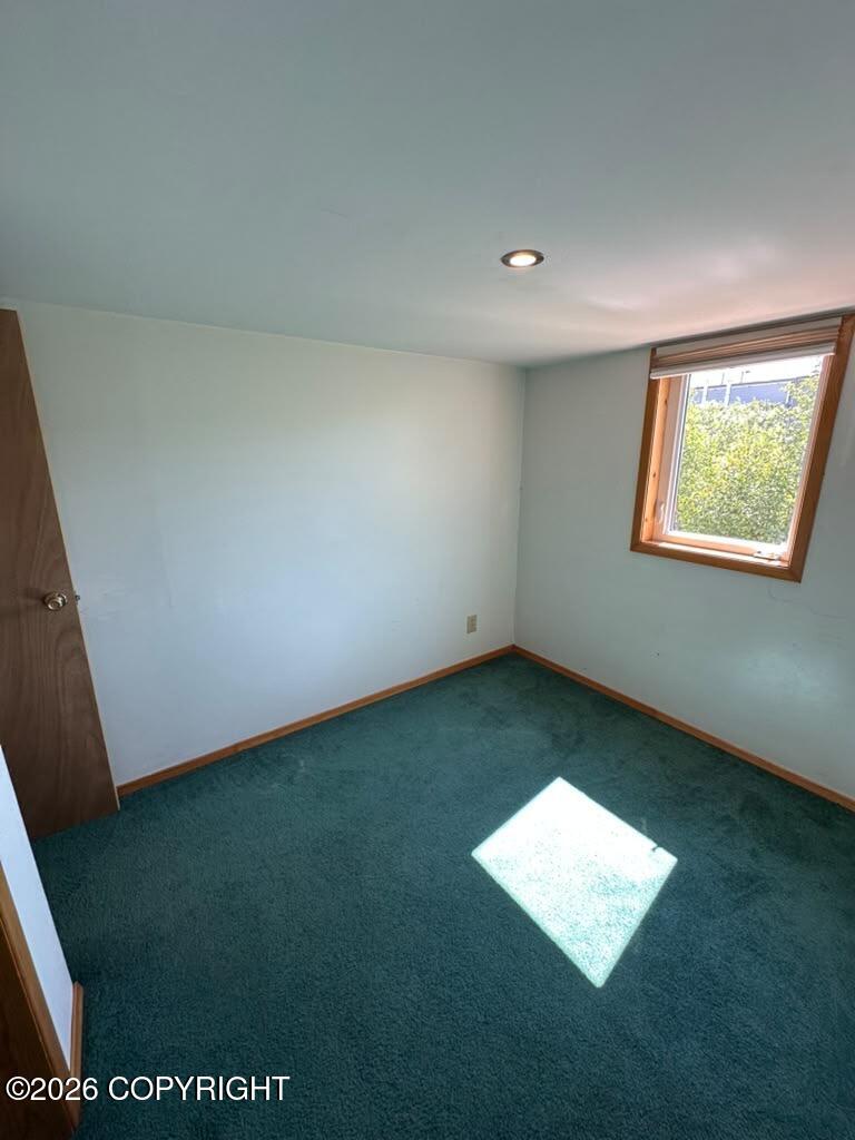 9419 Ayaginar Drive Property Photo 71