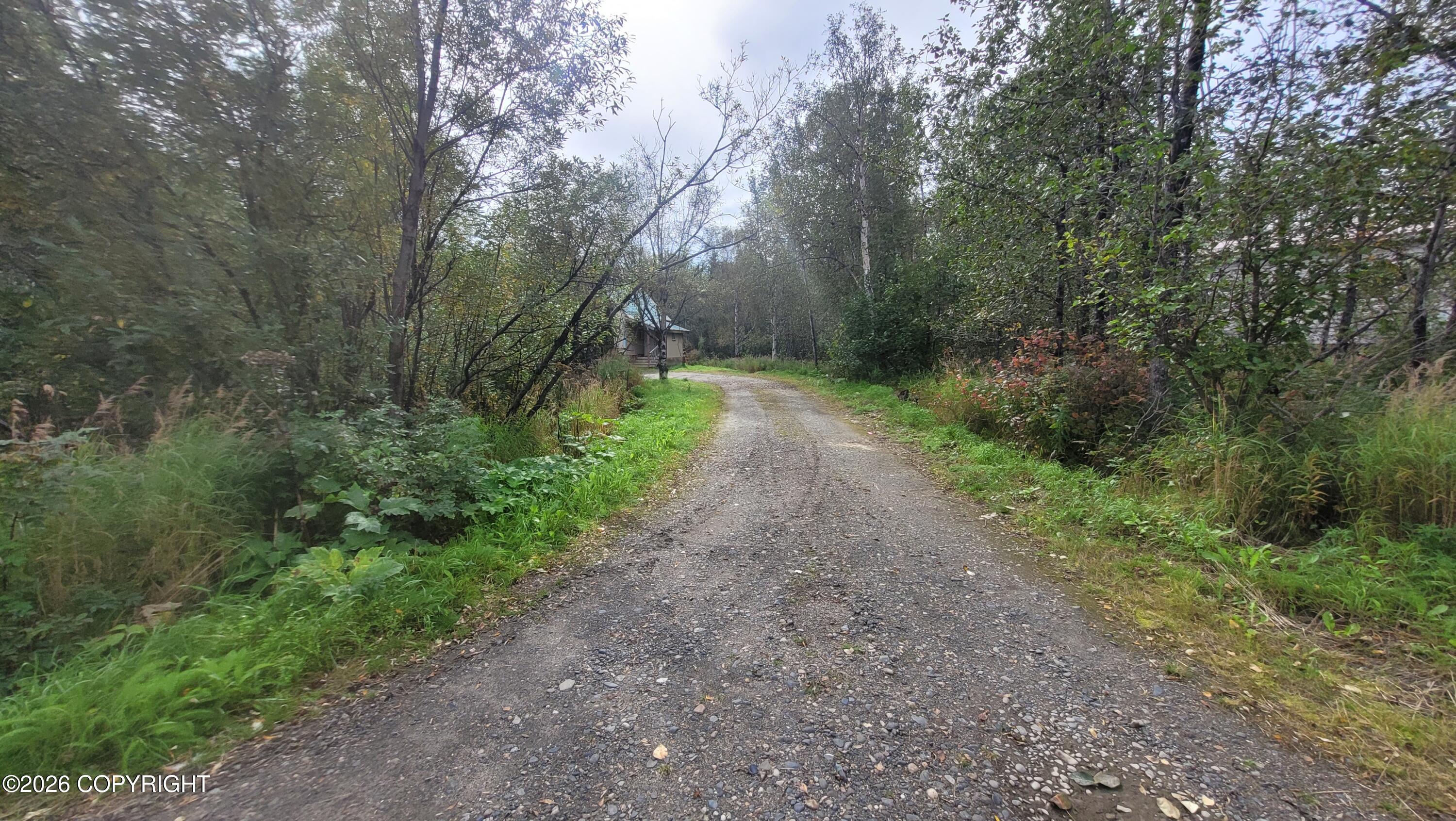 62 Spruce Avenue Property Photo 2