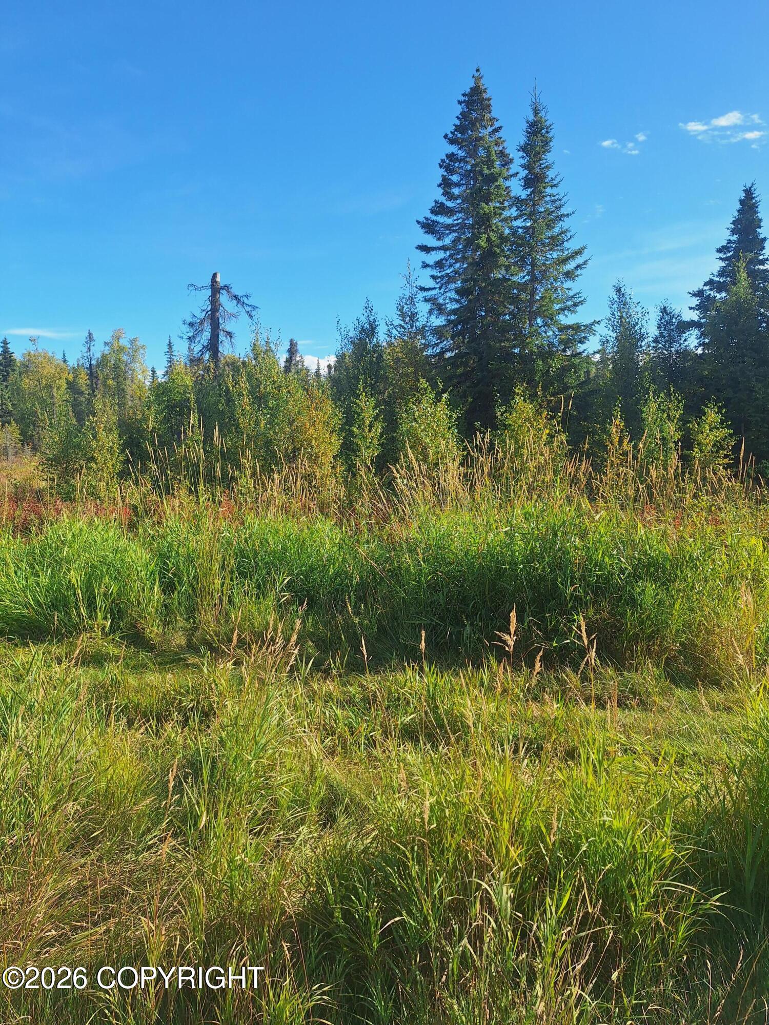 Lot 83 Kenai Spur Highway Property Photo 4