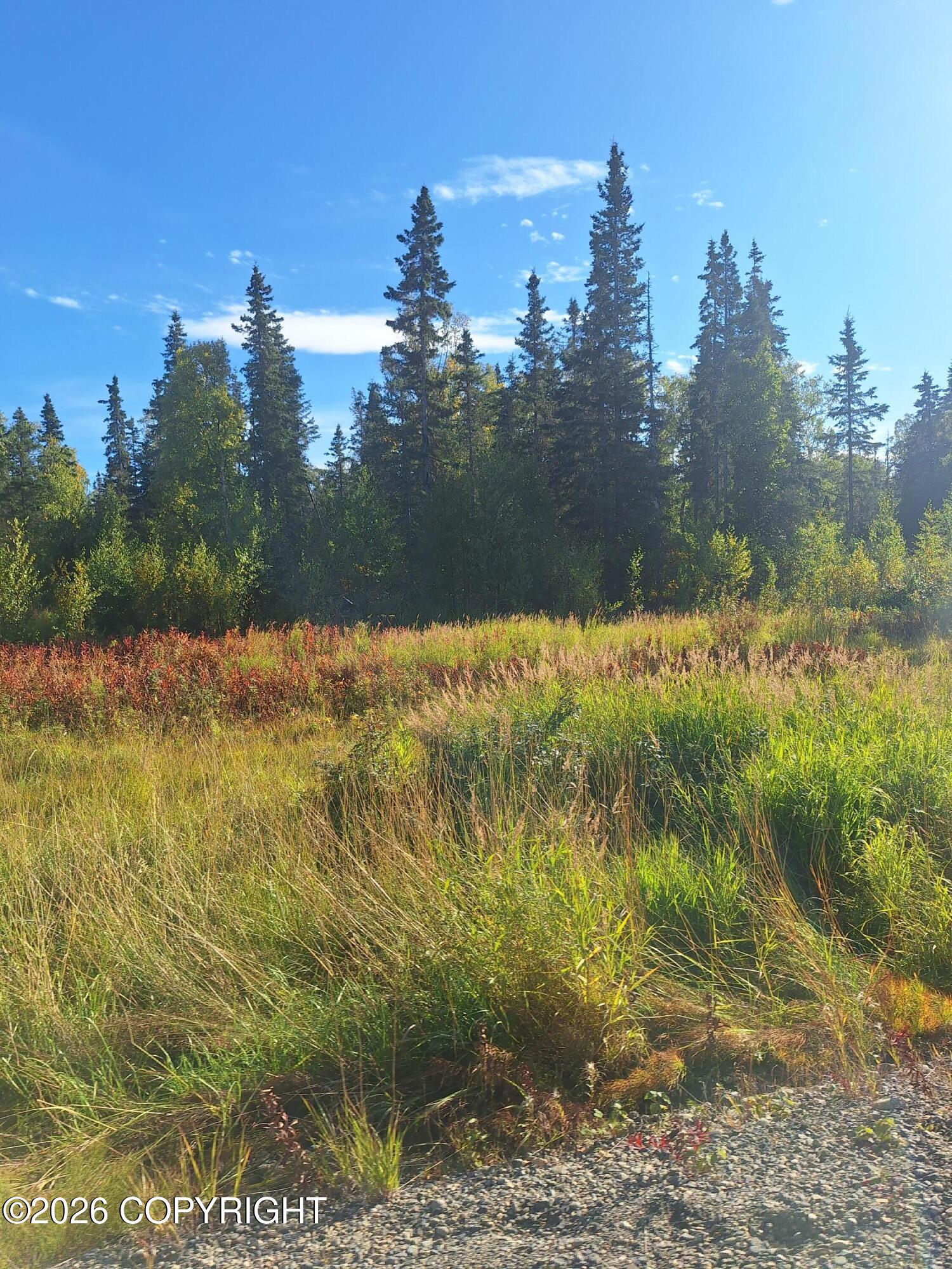 Lot 83 Kenai Spur Highway Property Photo 5