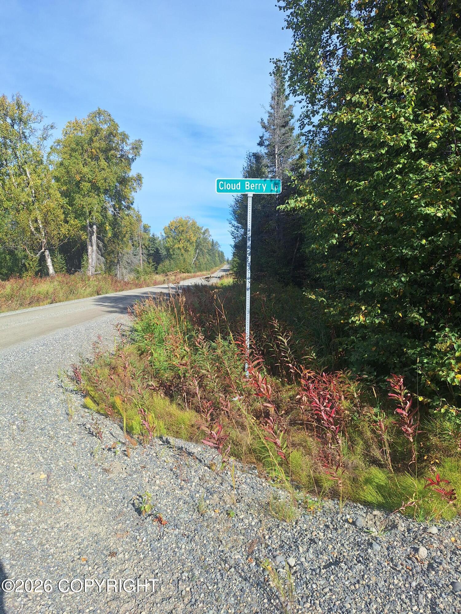 Lot 83 Kenai Spur Highway Property Photo 7