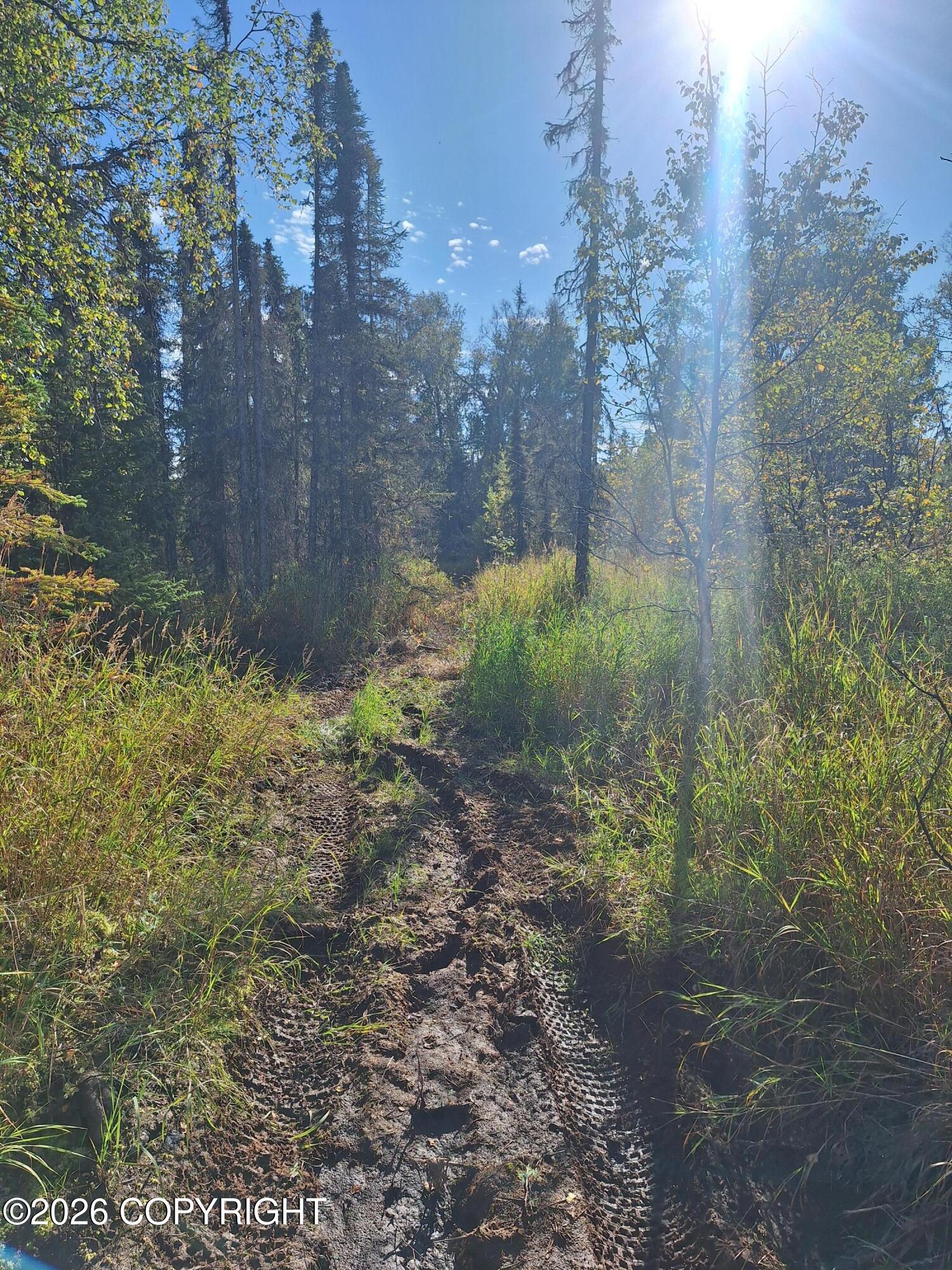 Lot 83 Kenai Spur Highway Property Photo 9