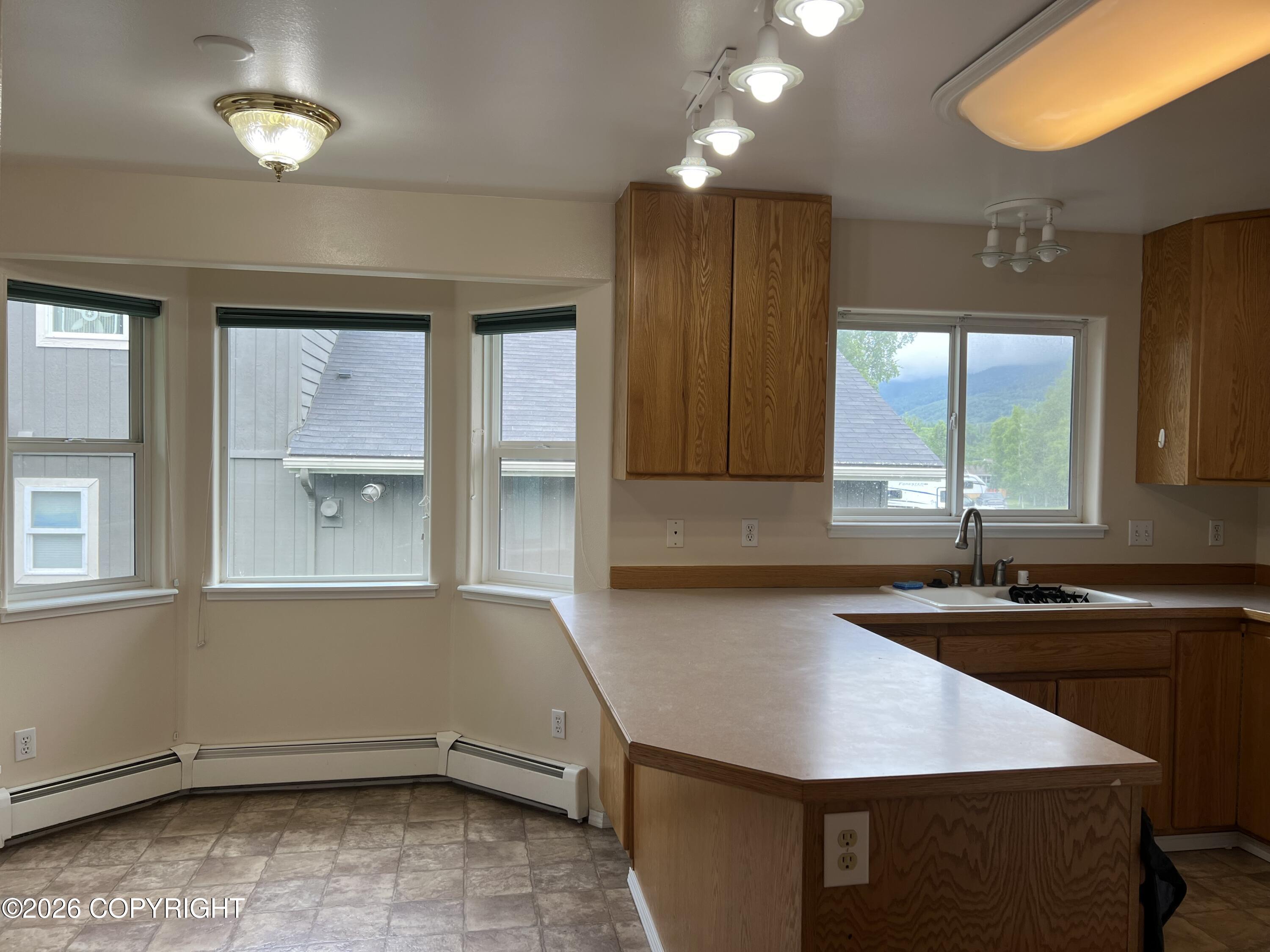 13802 Vasili Drive Property Photo 8