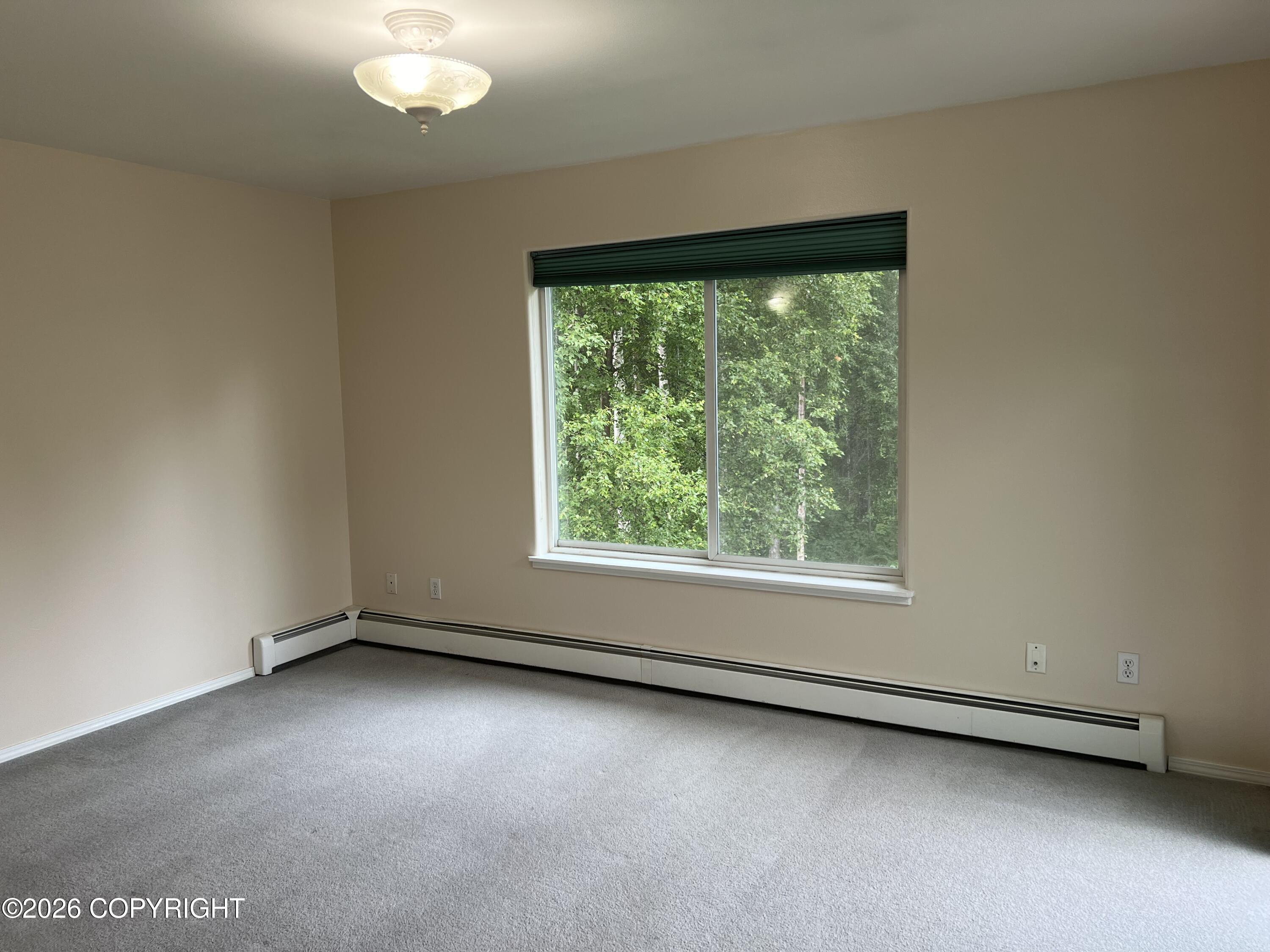 13802 Vasili Drive Property Photo 13