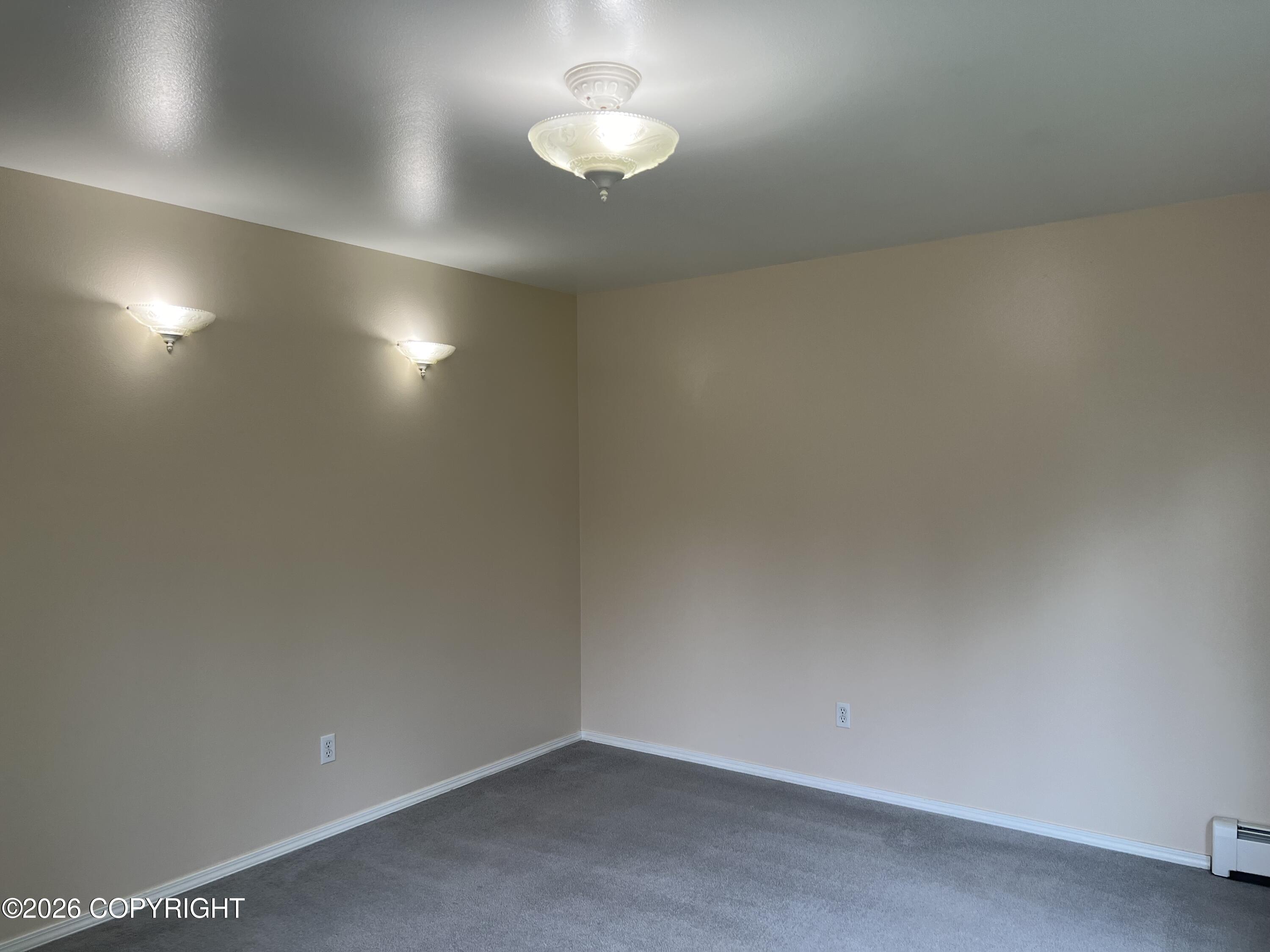13802 Vasili Drive Property Photo 15