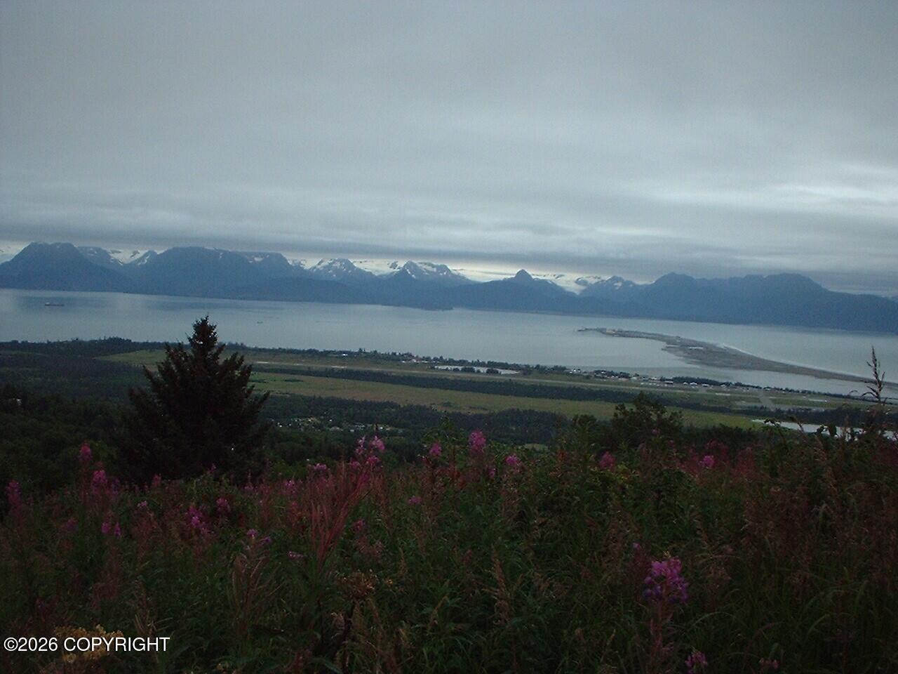 895 Glacier View Court Property Photo 14