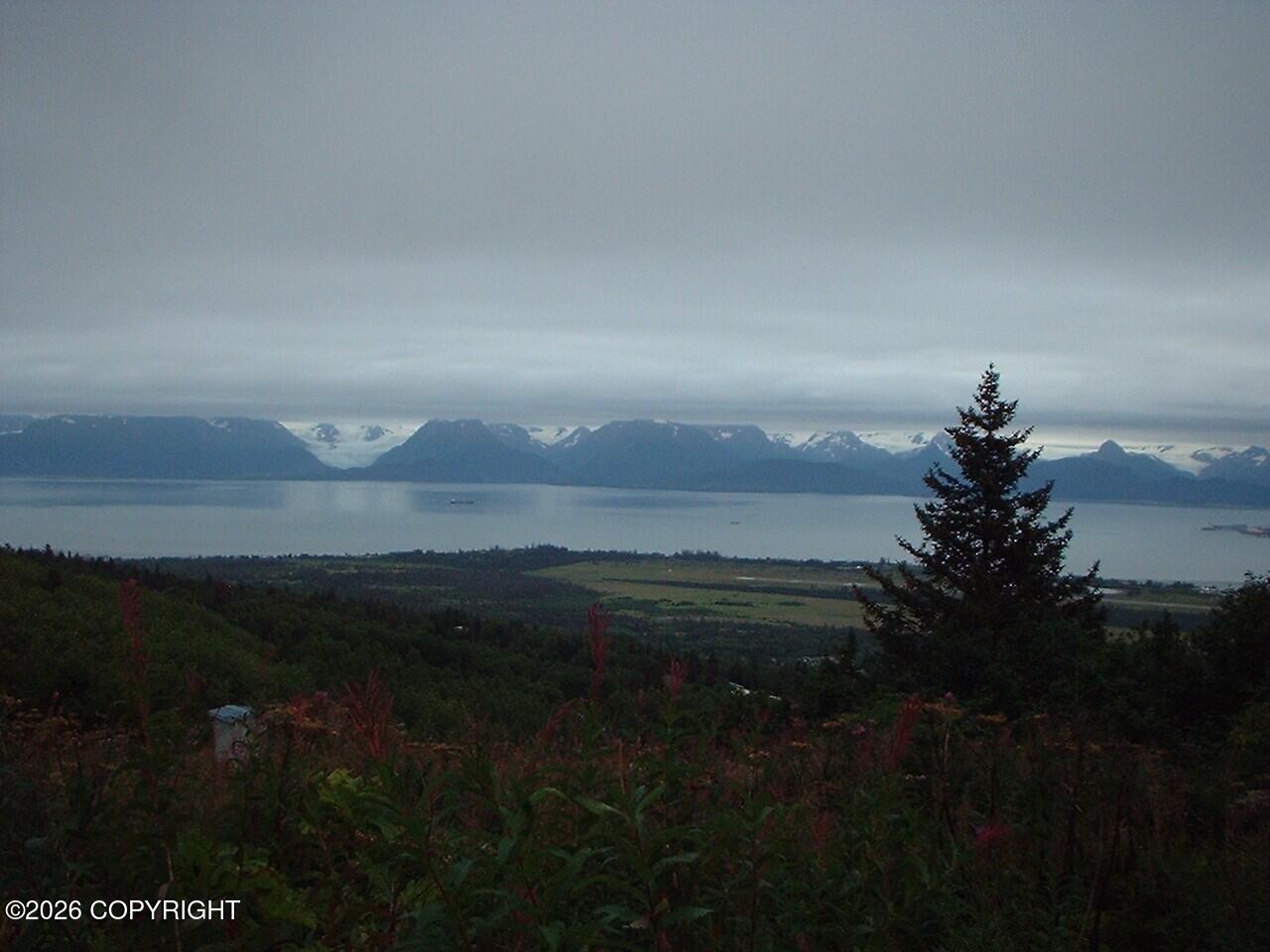895 Glacier View Court Property Photo 16