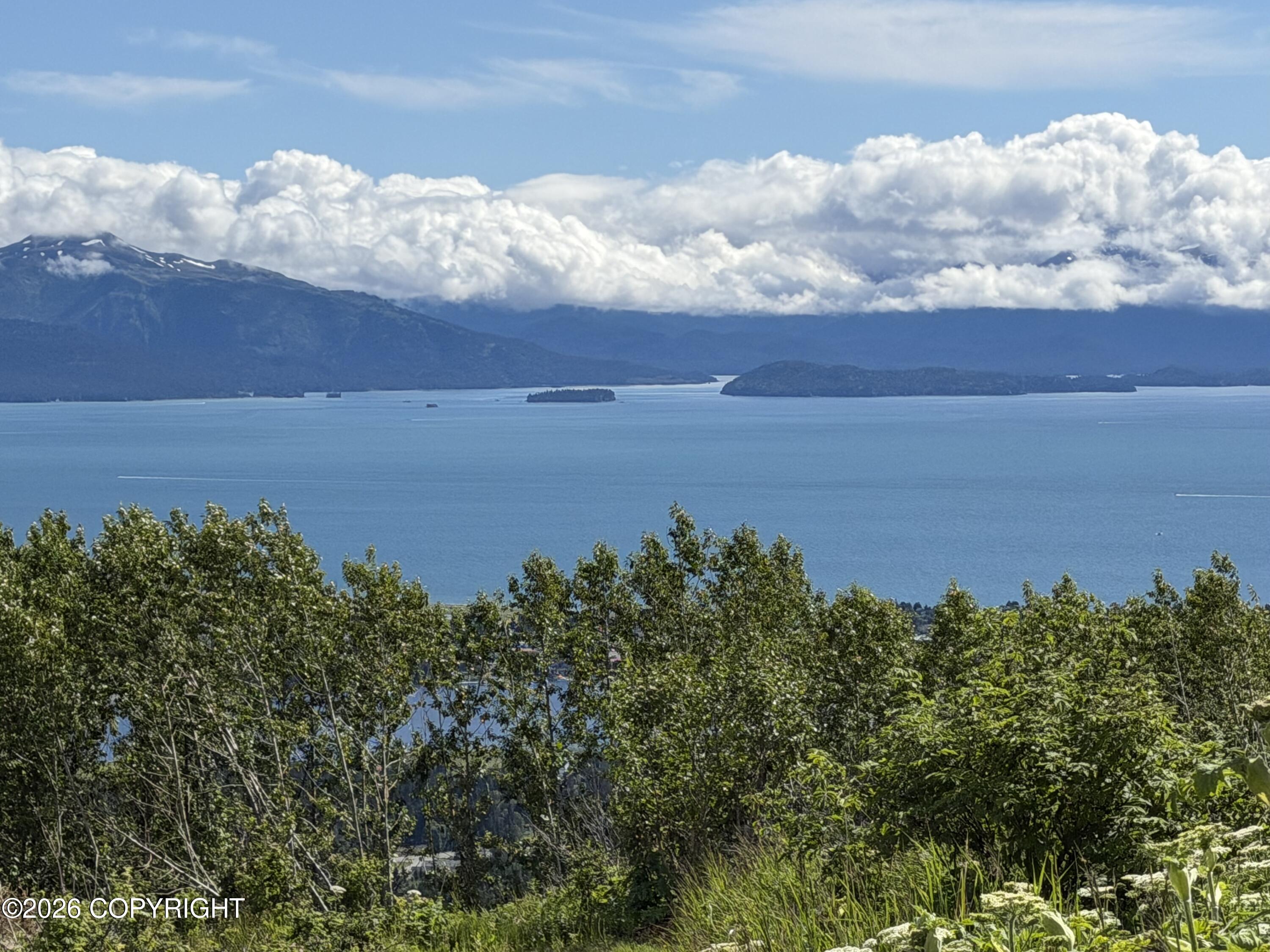 895 Glacier View Court Property Photo 17