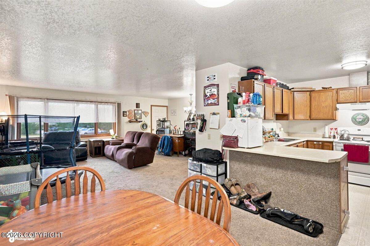 1400 N Wasilla Fishhook Road Property Photo 80