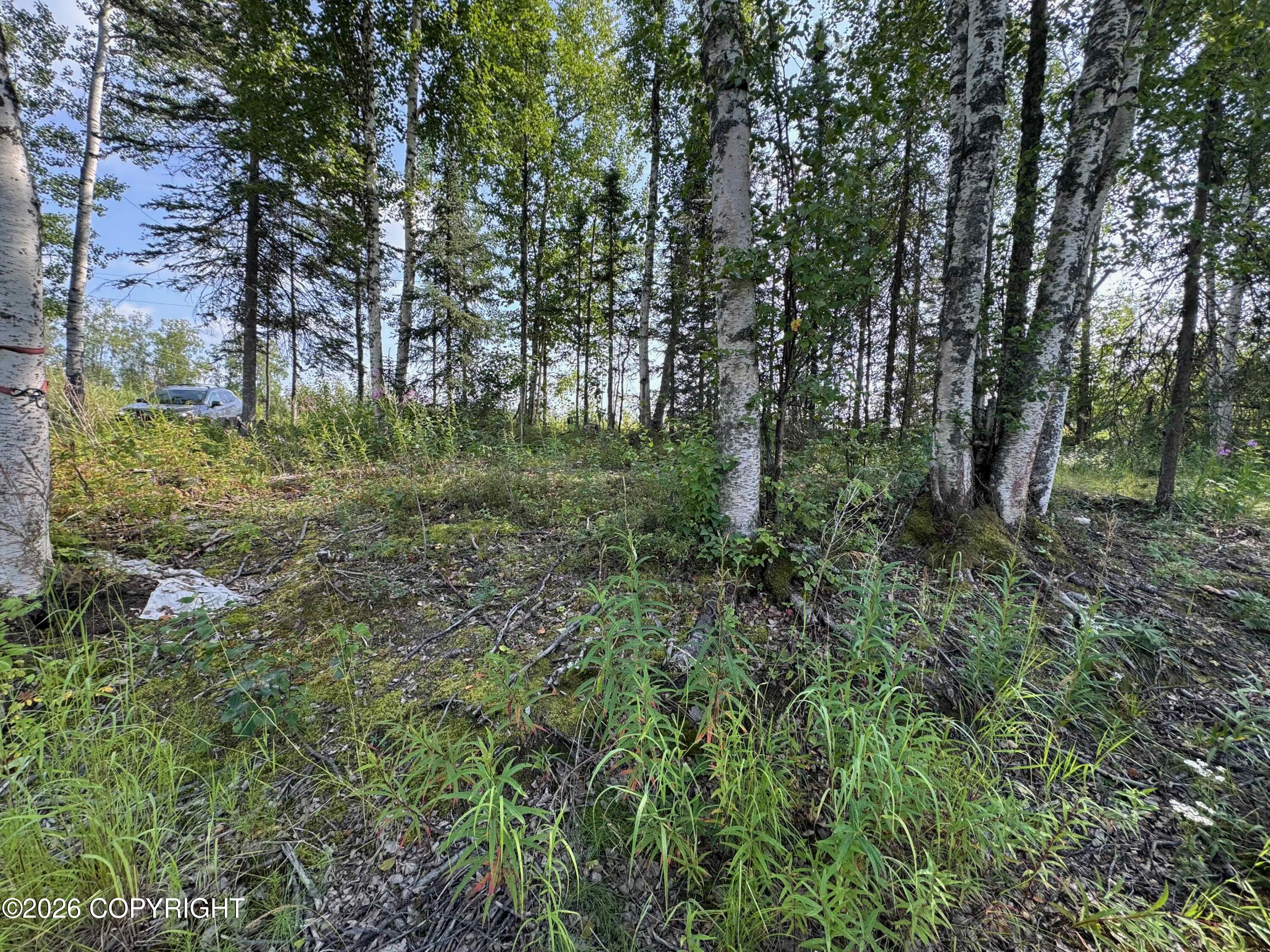 11396 W Cattail Circle Property Photo 7