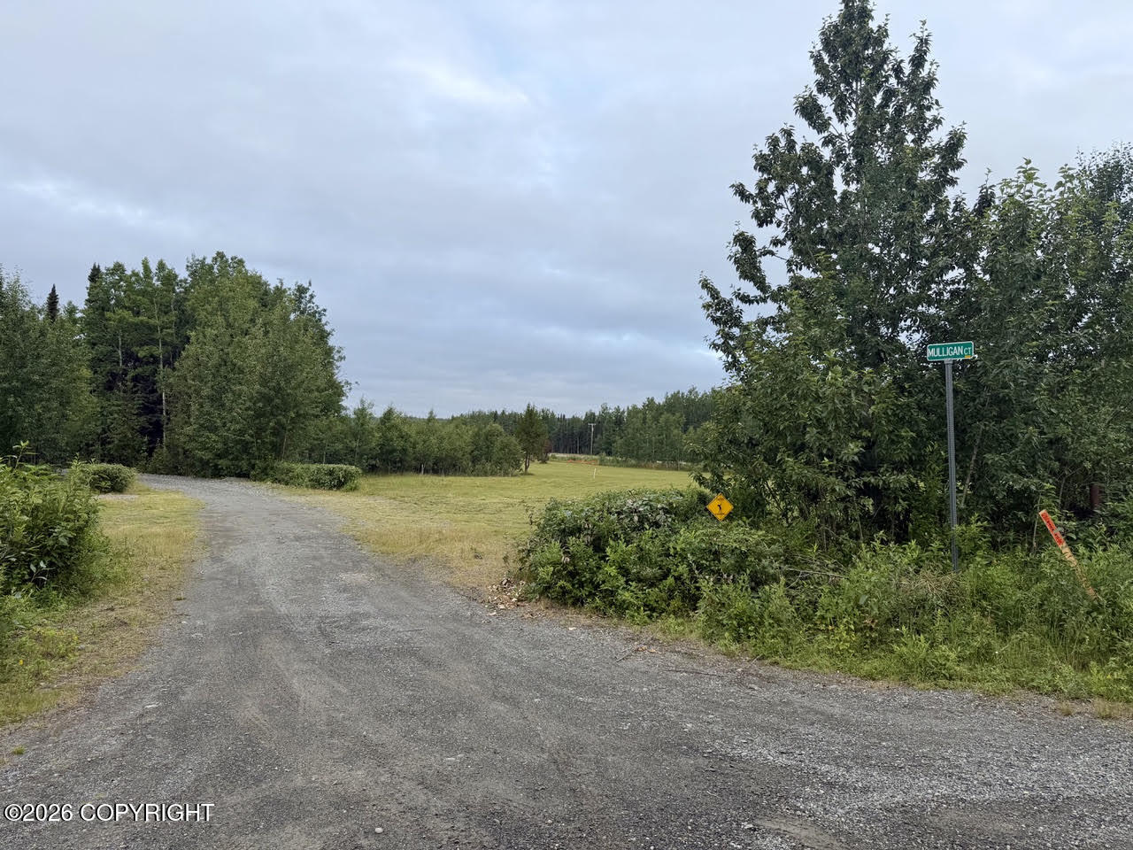 0 Mulligan Street Property Photo 5