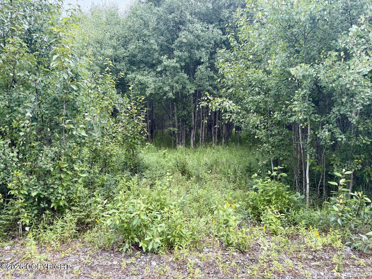 0 Mulligan Street Property Photo 7