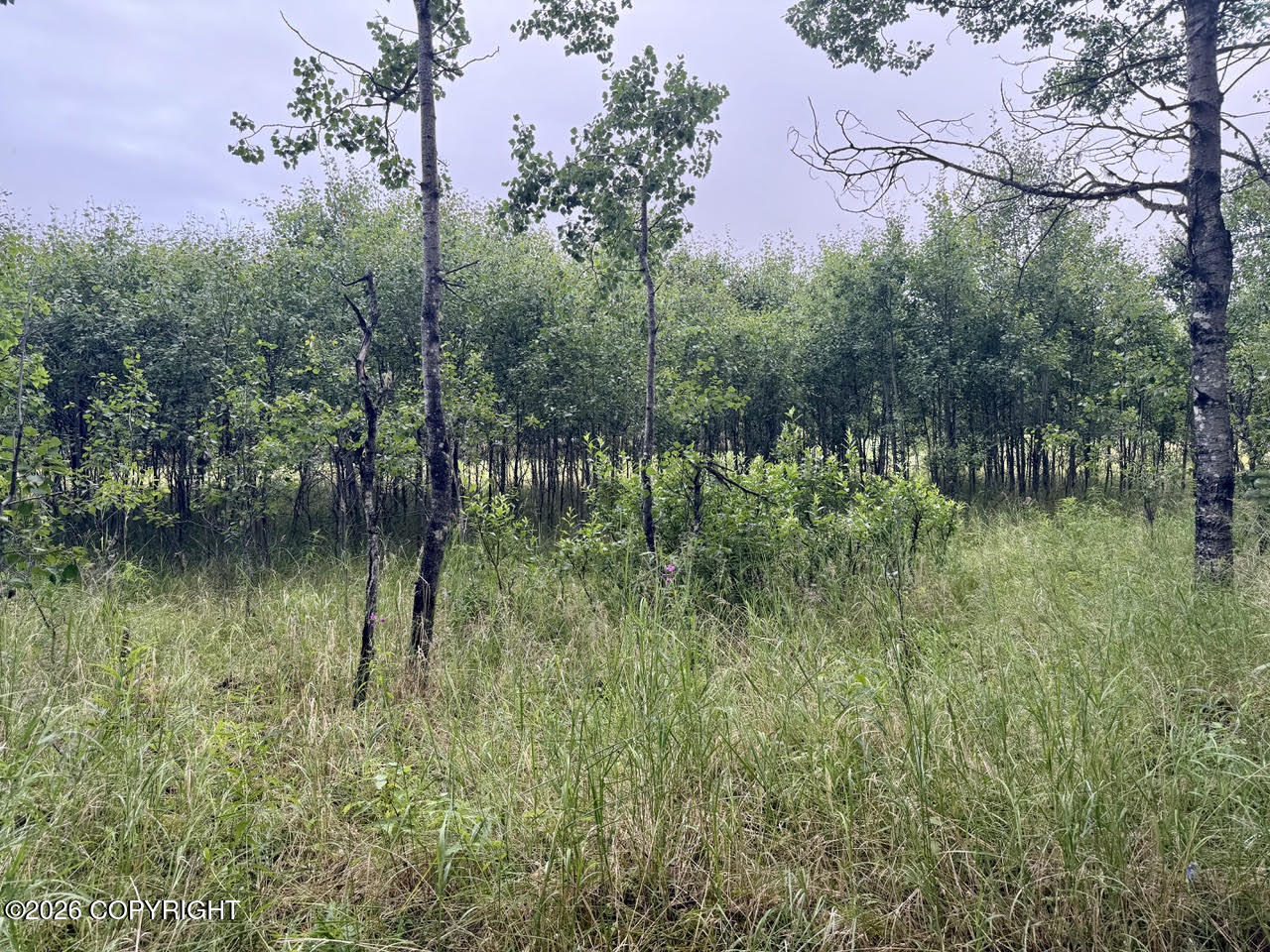 0 Mulligan Street Property Photo 9