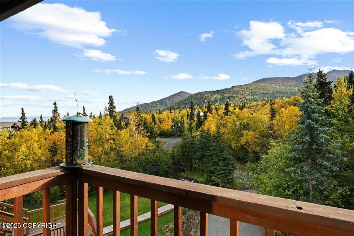 6132 Farpoint Drive Property Photo 54